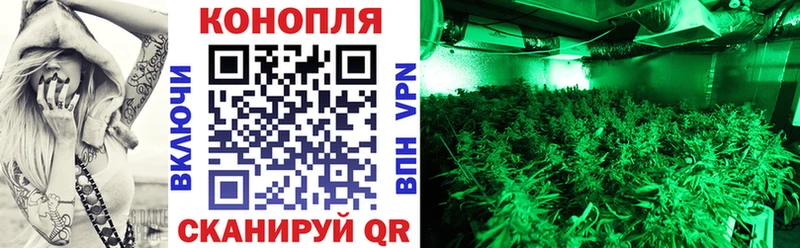 Купить закладки Гатчина Конопля сатива